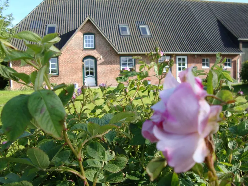 Tümlauer-Koog home with a view - Image 1
