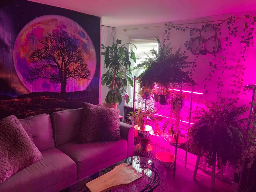 EWR | Secret Zen Garden: Master suite Studio - Image 1