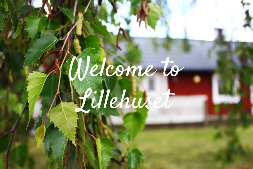 Lillehuset - Bright single-story house in a rural courtyard environment - Image 1