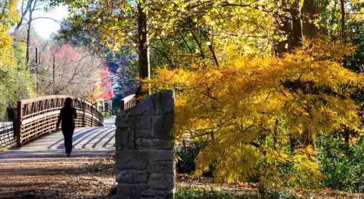 Southern Charm in Buckhead - Image 1