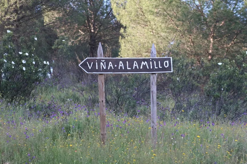 El Alamillo Rural Accommodation - Image 1
