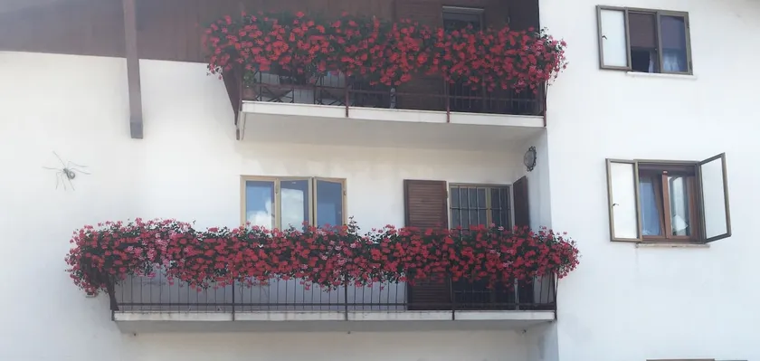 Charming flat in Cesuna, sleep up to 8 - Image 1