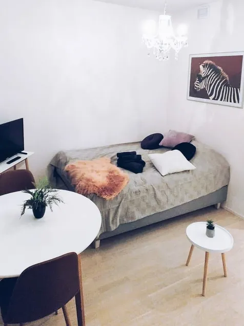 New Studio Zebra near Airport - Image 1