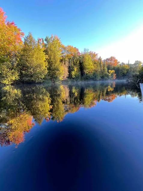Welcome to the Kozy Kave situated in Fenelon Falls - Image 1