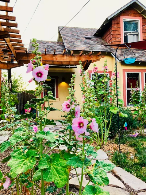 Unique Private Home, Historic Old Town Area☀️ - Image 1