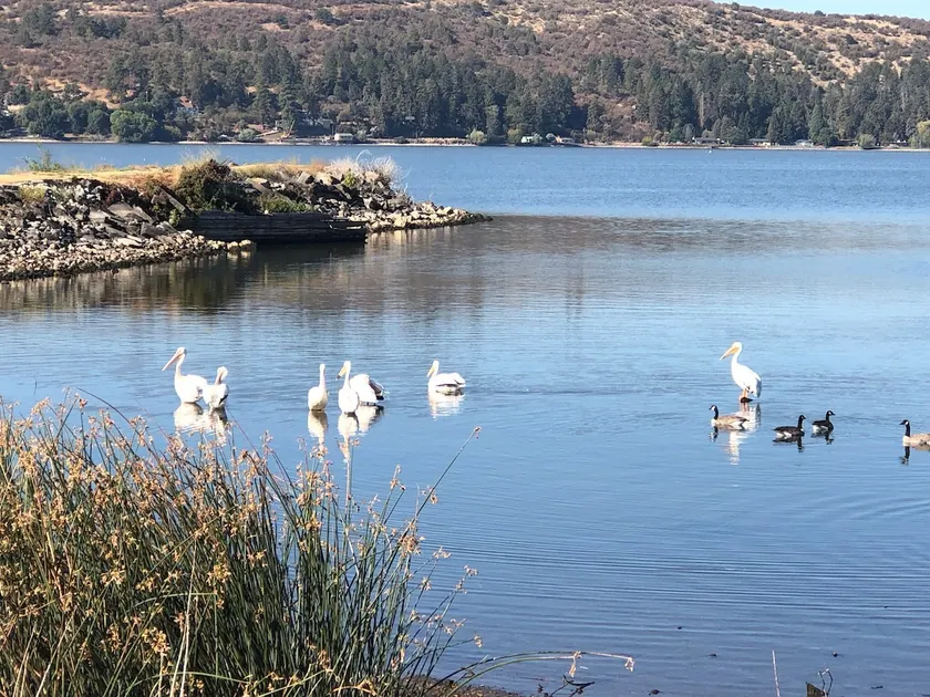 Lakeside Living & All Day Bird Watching - Image 1