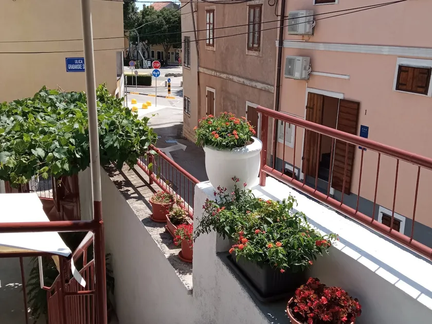 App Marija - Image 1