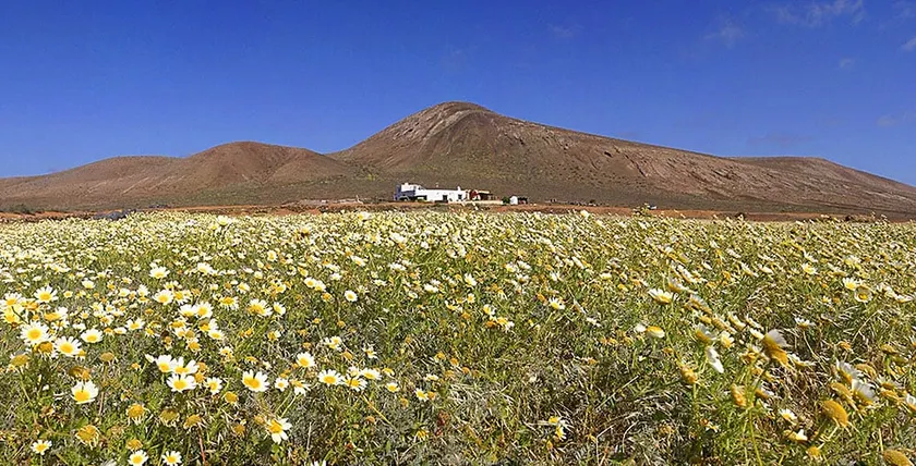Sommerhus med privat pool i Lanzarote. Anderledes oplevelse. - Image 1