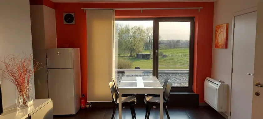 Beautiful apartment with rural views - Image 1