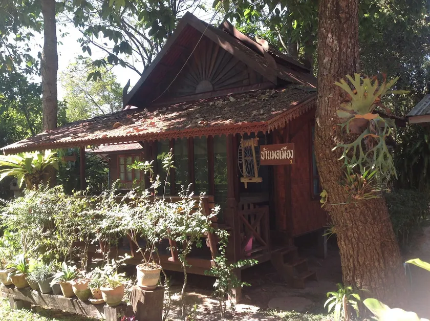 Forest in Town Cabin 1 - Image 1