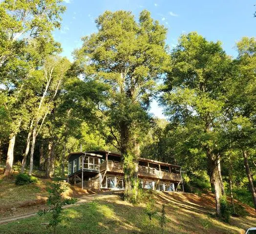 The House in the Forest overlooking the River. - Image 1