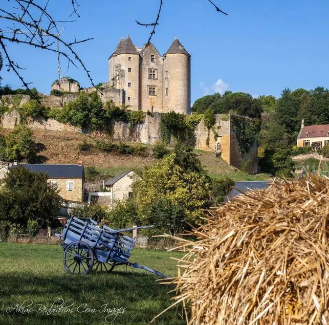 Petite maison en pierre au coeur du Périgord noir proche de Sarlat et Rocamadour - Image 1