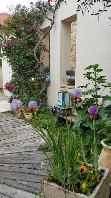 The Charming House of Taly&Erez 15 Min to Tel-Aviv - Image 1