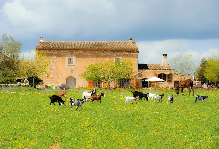 Traditional house. ”Son Calderó” - Image 1