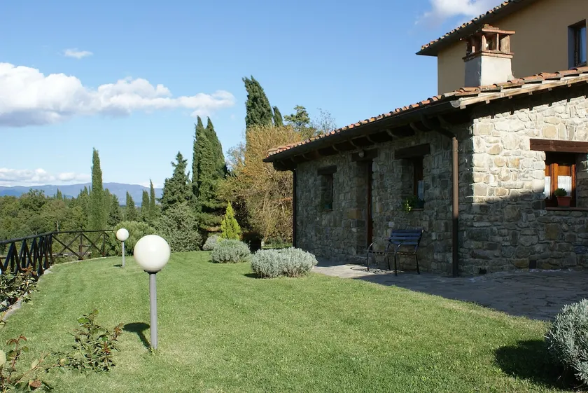 La Vista - Inside a Tuscan Winery/Olive Trees - Image 1