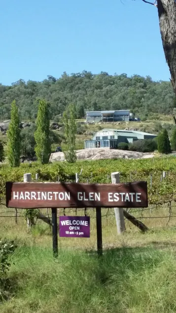 Harrington Glen Estate | Luxury Among the Vines - Image 1