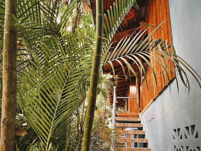 Pura Vida Cabins in Santa Teresa - Image 1
