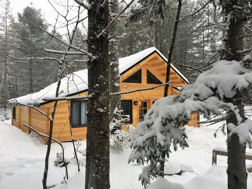 Le Chalet Blue Pine (CITQ: 304268) - Image 1