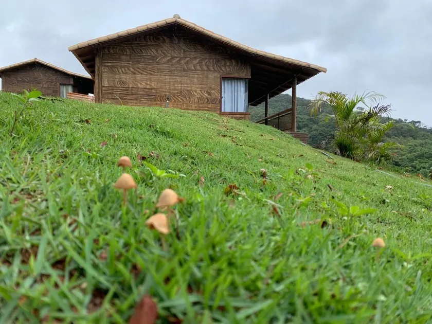 Forest Cottage - Image 1