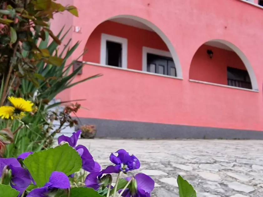 Apartman Sandro - Image 1