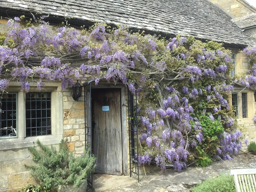 *DISCOUNT*CUTE 17th C🌹❤️🏡 Haven for Escapes Tennis - Image 1