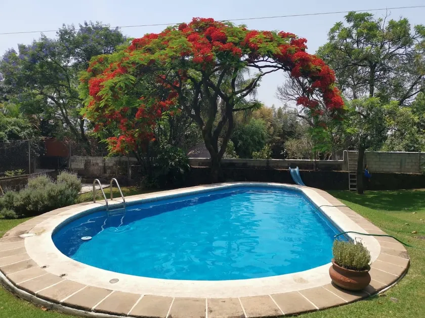 Beautiful and cozy guest house with pool - Image 1