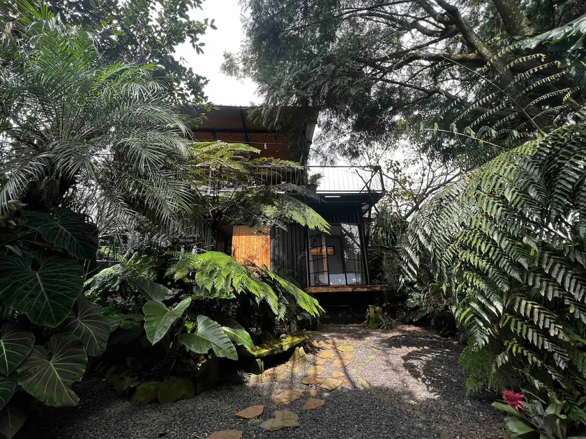 Casa Jungla - Image 1