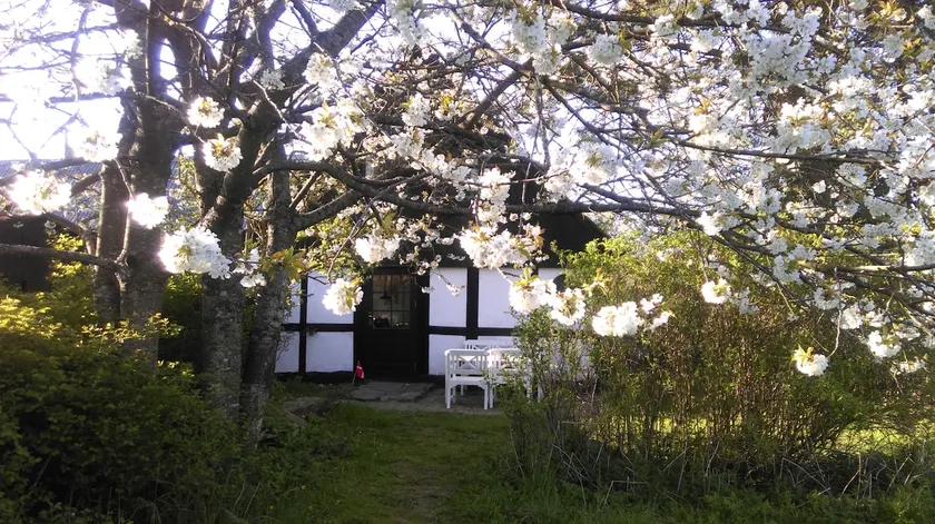 Farmhouse apartment near Gudhjem and round church - Image 1