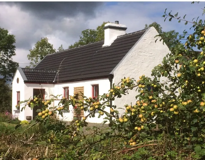 Dempsey's cottage lovingly restored well equipped - Image 1