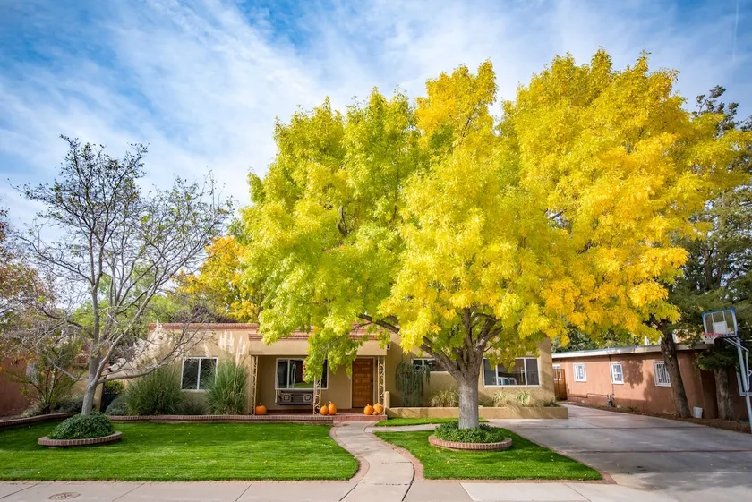 Spacious and luxurious 4BR home! - Image 1