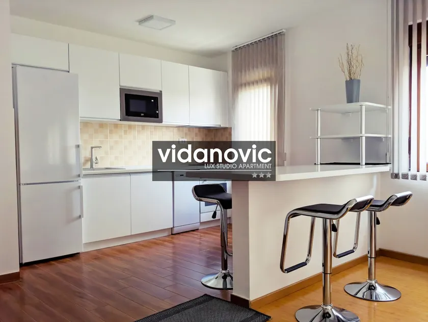 Lux Studio Apartment Vidanovic - Image 1