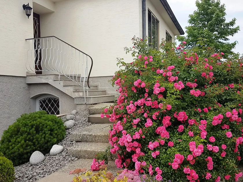 Beautiful apart in a house Strasbourg - Image 1