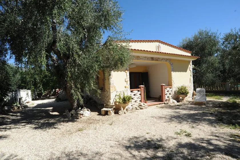 Villa Carmine, fenced in among the olive trees of Gargano - Image 1