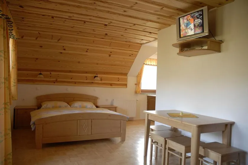 Tourist Farm Gradisnik | Apartment (2) - Logarska - Image 1