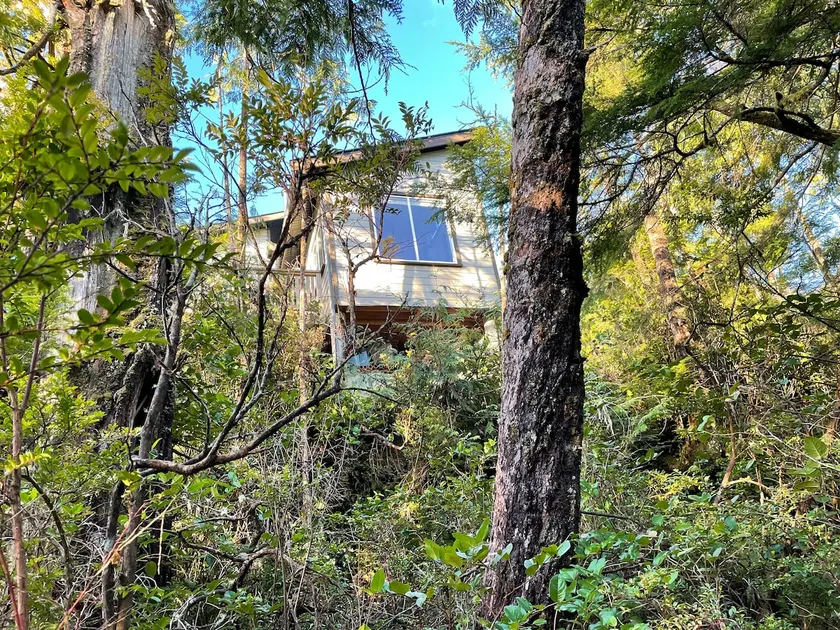 Brown's Beach Guest Suite - Image 1