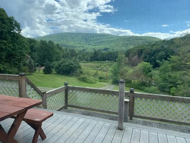 Cozy Catskills Home with Privacy & Views Belleayre - Image 1