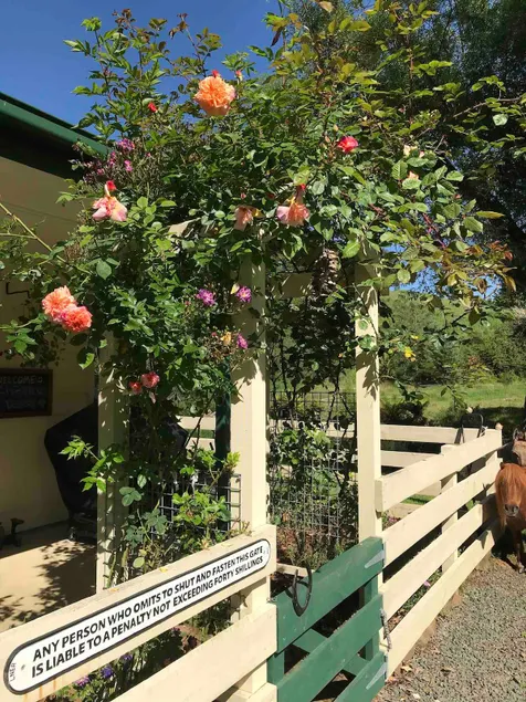 Kymmik Cottage -Luxury S/C Accommodation - Image 1