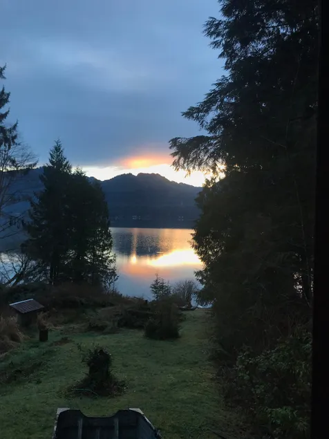 Quinault Cove- Blue Jay Nest - Image 1