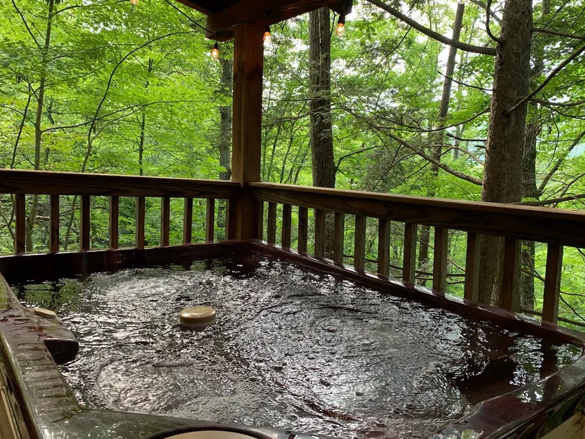Log Cabin Minutes to Dollywood all Pigeon Forge - Image 1