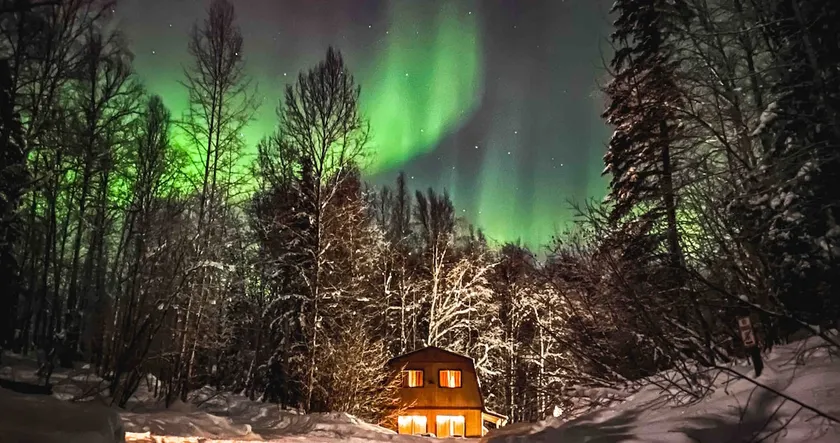 Cozy Cottage in the Woods - Image 1