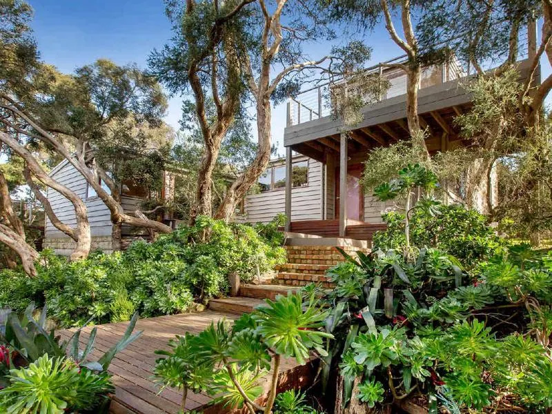 Tranquil treetop retreat - coastal views - Image 1