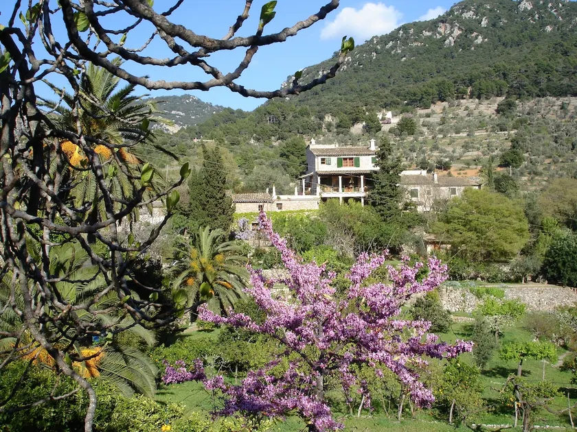 Finca-Ferienhaus Mimose in Son Salvanet - VT / 2189 - Image 1