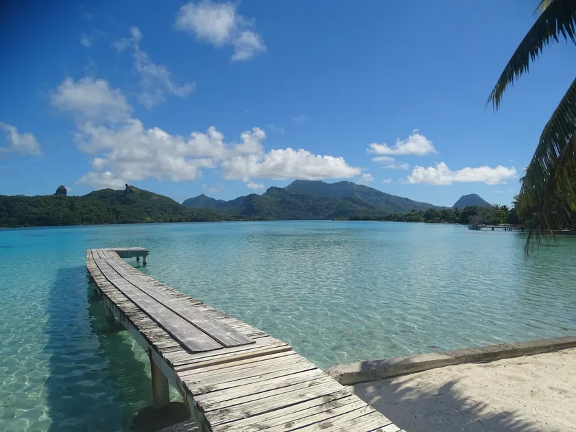 MOTU LODGE HOUSE - Image 1