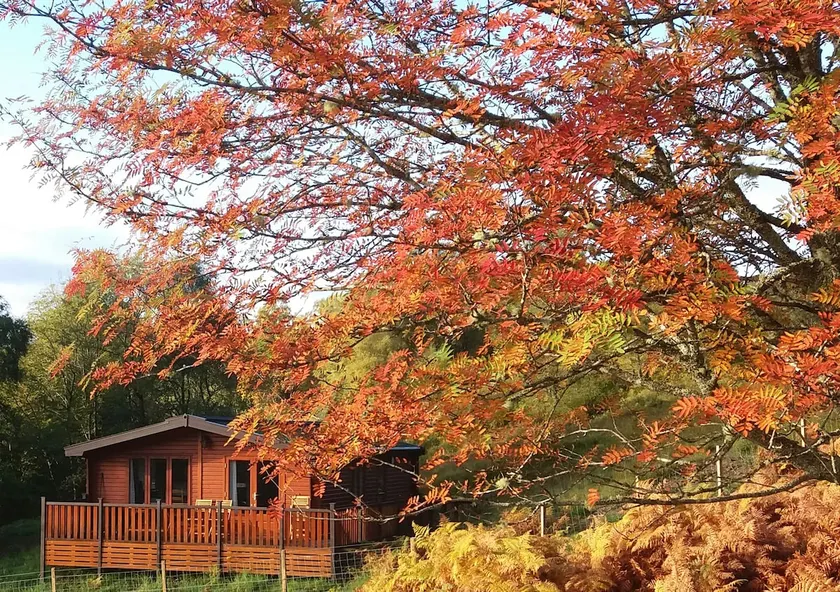 Glas Doire Lodge, Glen Roy Nature Reserve - Image 1
