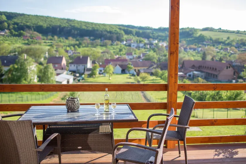 Cosy cottage with great garden and winery beside - Image 1