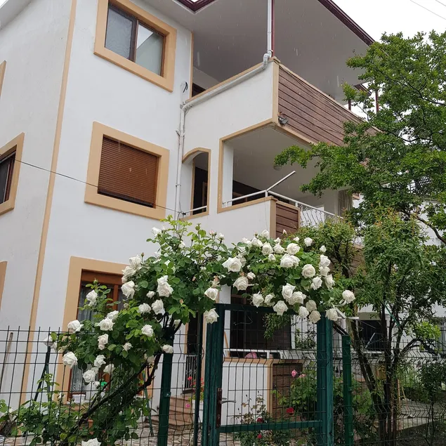 Villa with sea, nature, garden 5+1 - Image 1