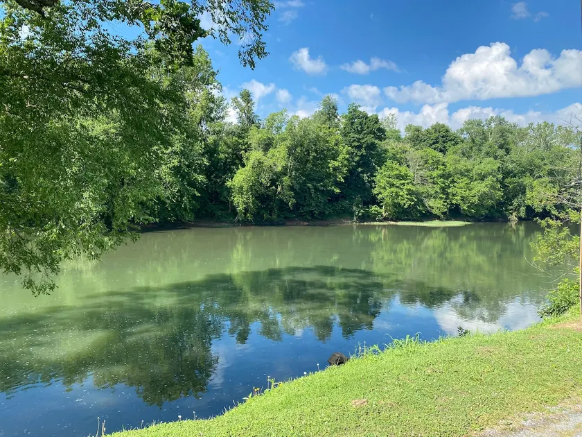 The Greenbrier River View! - Image 1