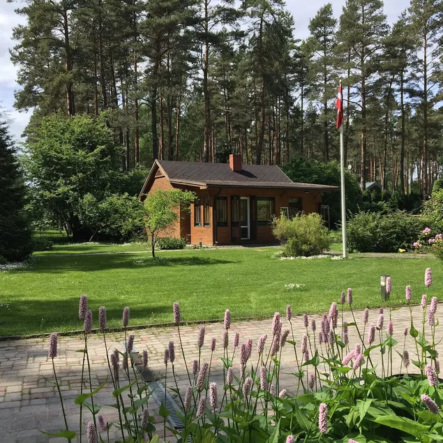 Cosy house in forest with outdoor hot tub - Image 1