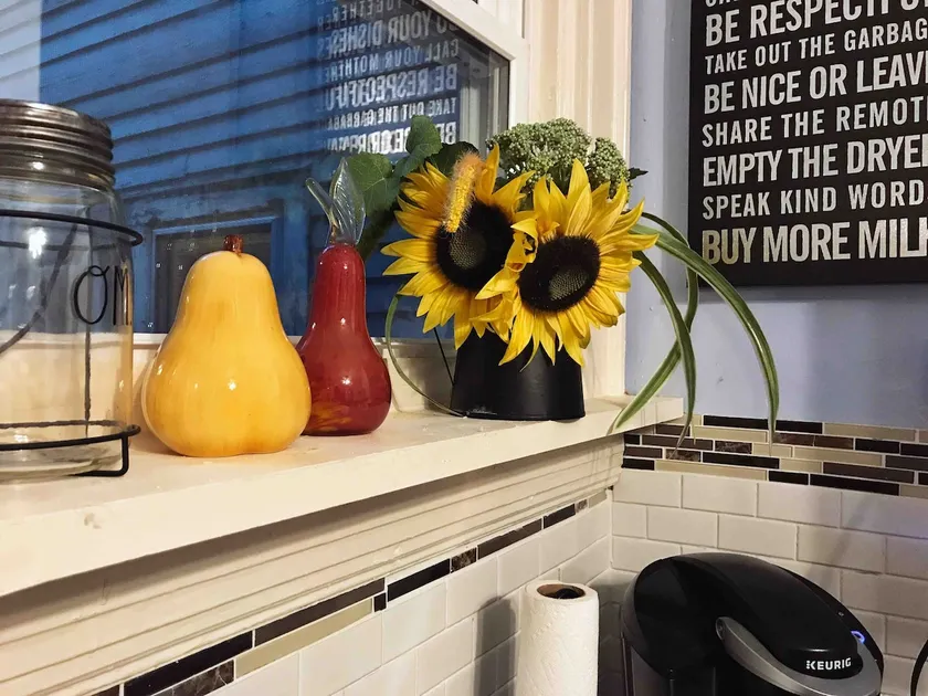 2 bedroom apt. in the heart of Elmwood Village! - Image 1