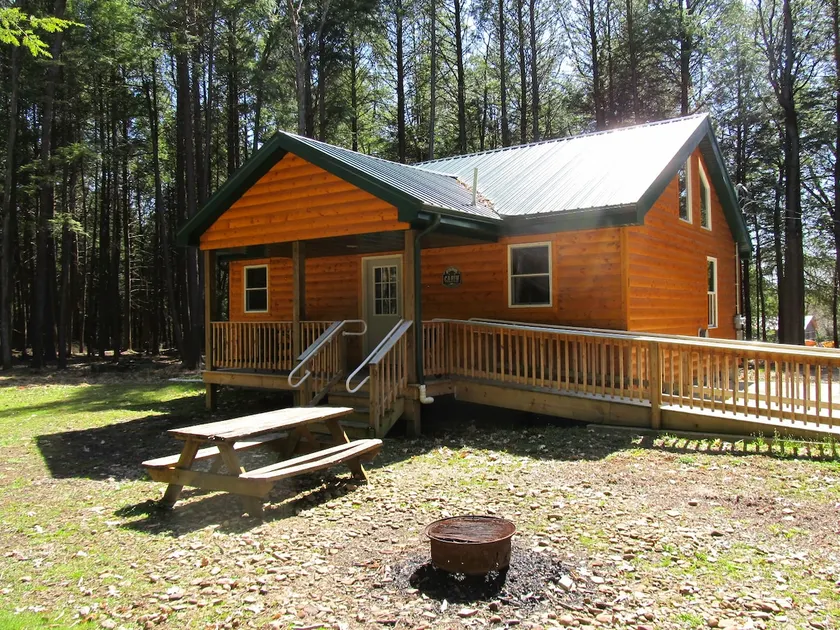 Luxury ADA Cabin with Hot tub ~ NO PETS - Image 1